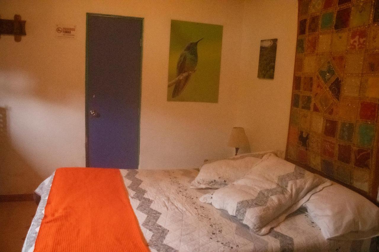 Hotel La Cigarra Casa De Huespedes Salento Zewnętrze zdjęcie