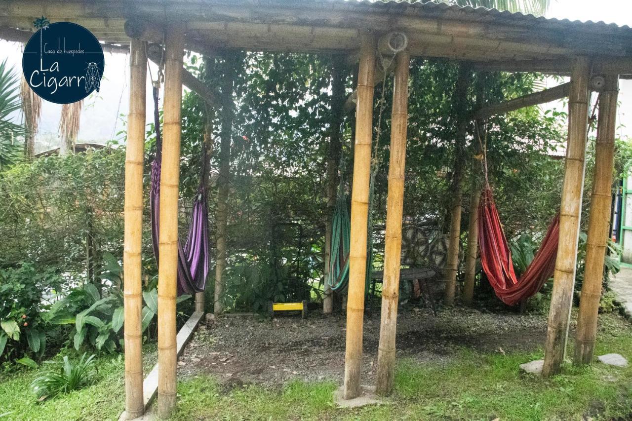 Hotel La Cigarra Casa De Huespedes Salento Zewnętrze zdjęcie