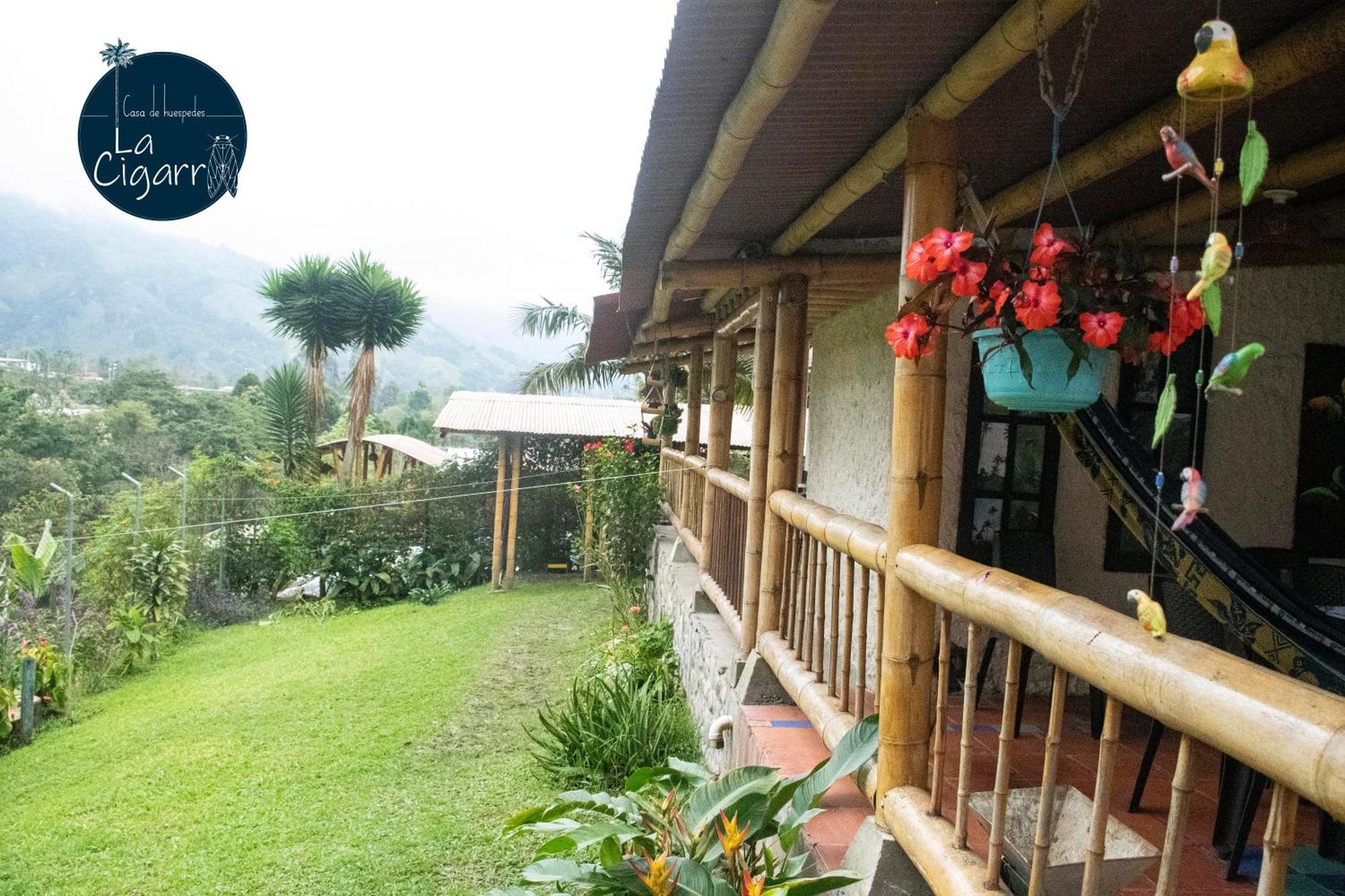 Hotel La Cigarra Casa De Huespedes Salento Zewnętrze zdjęcie