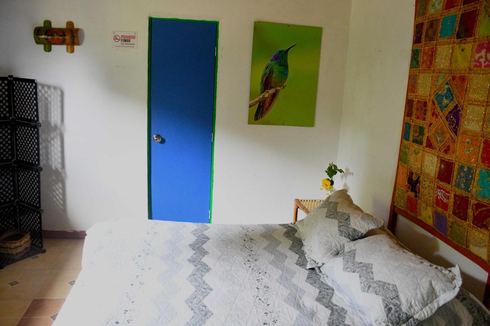 Hotel La Cigarra Casa De Huespedes Salento Zewnętrze zdjęcie